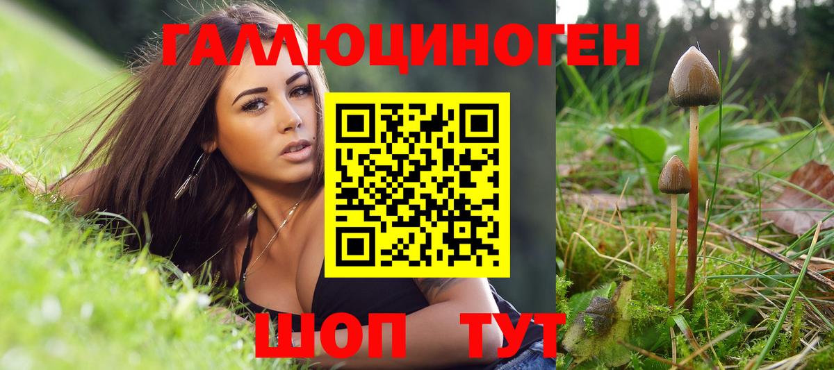 Рузаевка  Псилоцибиновые грибы MAGIC MUSHROOMS  Псилоцибиновые грибы мухоморы  Вход с VPN 